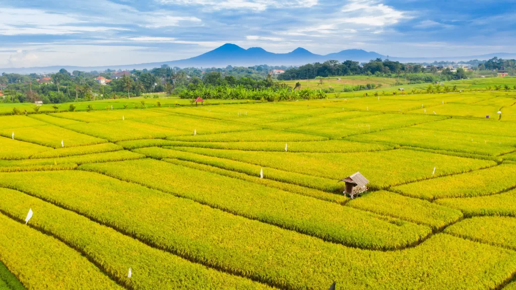 best place to stay in bali for first-timers
