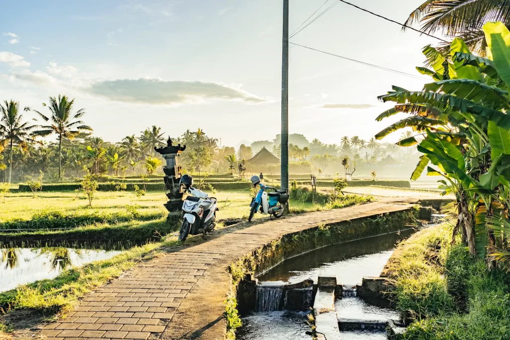 Tegalalang Rice Field