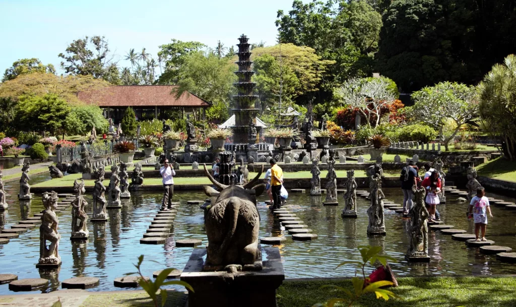 Bali rice fields