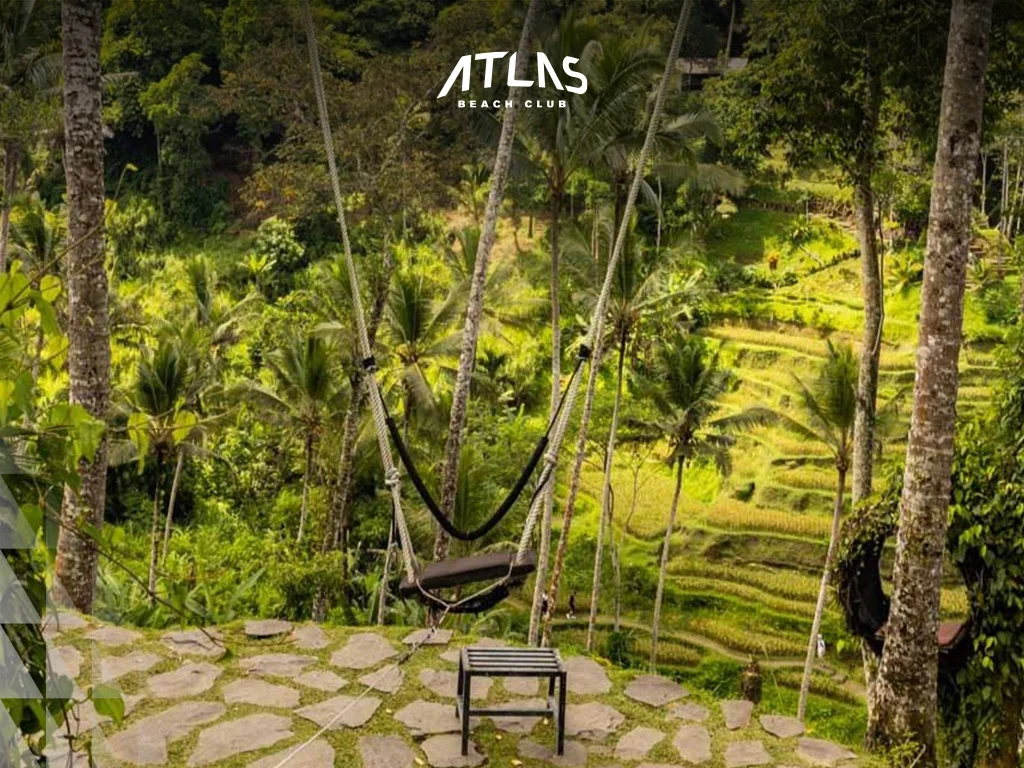 Tegallalang Rice Terraces, Rice Terraces Swing, Tegallalang Bali Swing