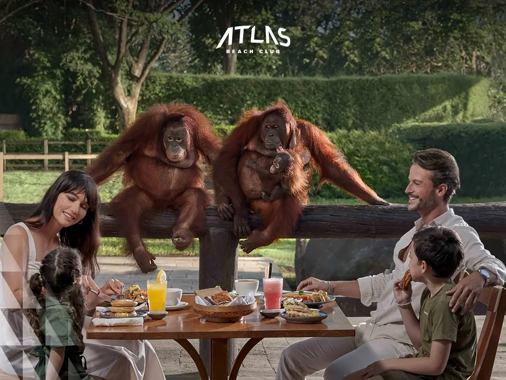 breakfast with orangutan, Bali Zoo, Orangutan in Bali, bali with kids