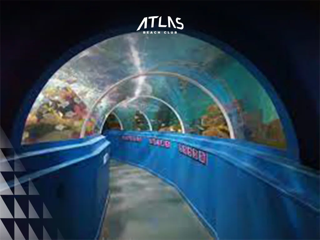 aquarium aisle, aquarium hallway, aquarium alley