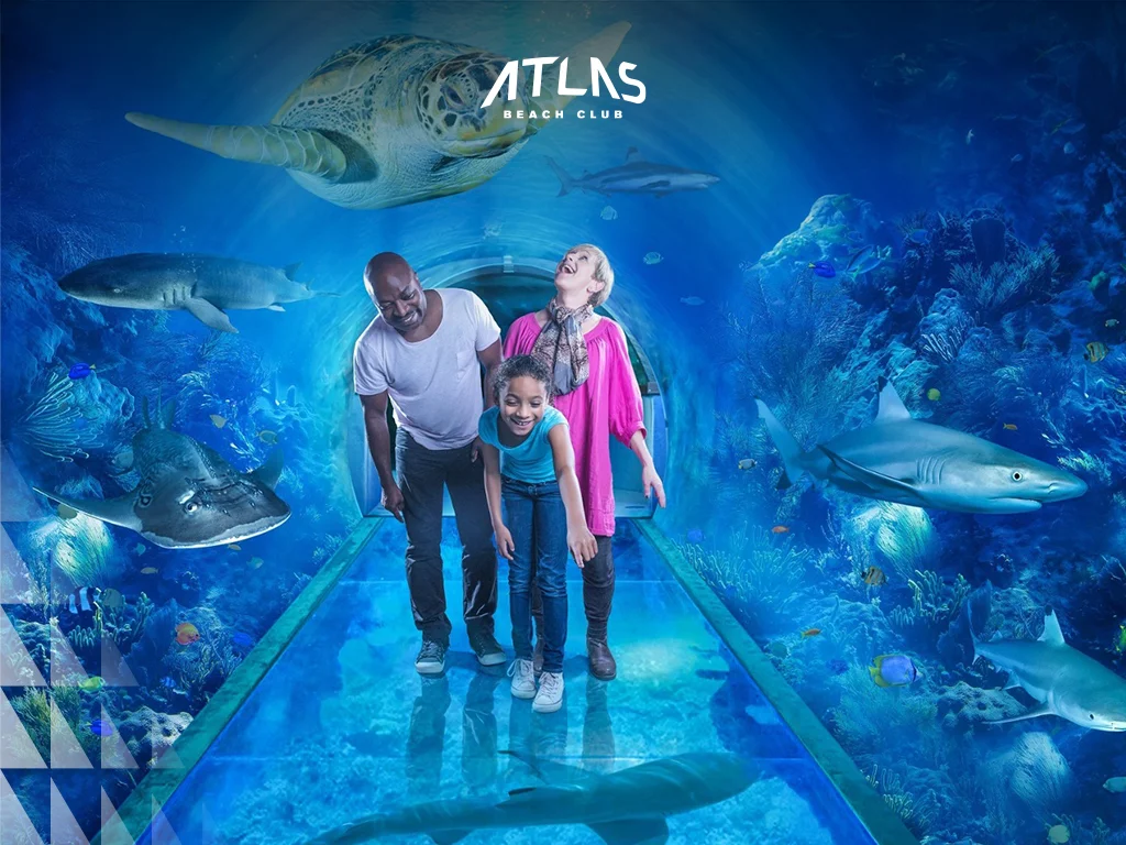 family explore aquarium, pretty aquarium, fishes in aquarium