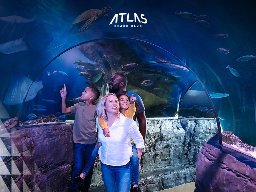 aquarium seeing, pretty aquarium, family inside aquarium the best aquariums in the world